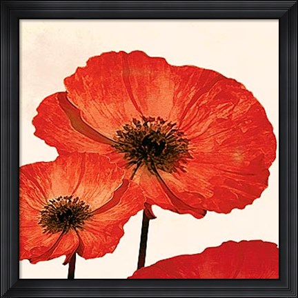 Framed Dreams of Summer V Print