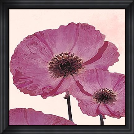 Framed Dreams of Summer VI Print