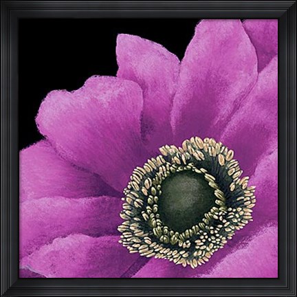 Framed Brilliant Blooms II Print