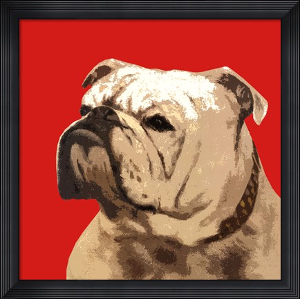 Framed British Bulldog, Red Print