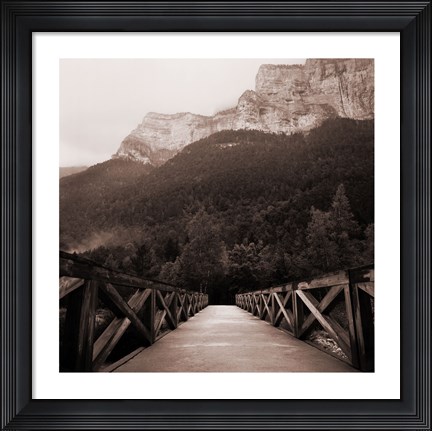 Framed Into the Wilderness Print