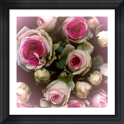 Framed Roses Print