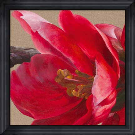 Framed Japonica Blush II Print