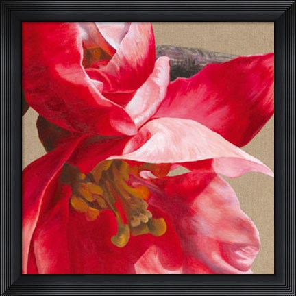 Framed Japonica Blush III Print