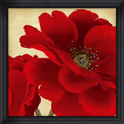 Framed Red Peony I Print