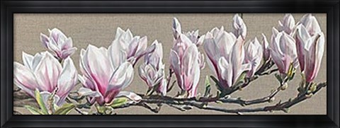 Framed Magnolia Swathe Print