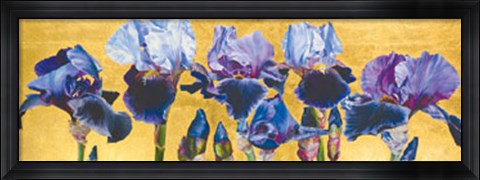 Framed Blue Lustre Print