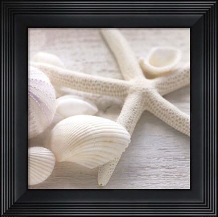 Framed Driftwood Shells III Print