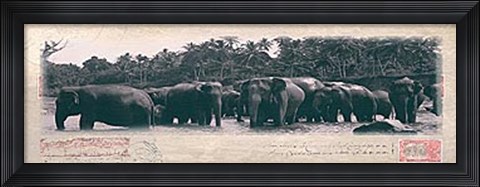 Framed Elephant Journal Print