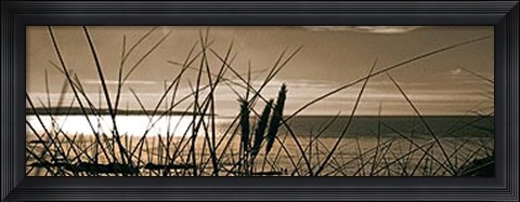 Framed Setting Sun II Print