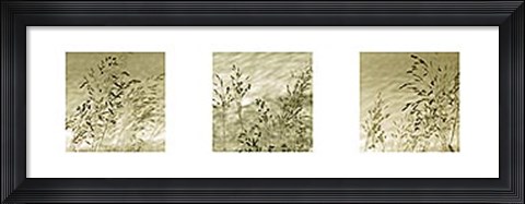 Framed Patmos Trio Print