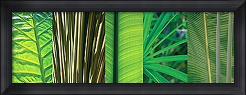 Framed Eco Compostion II Print