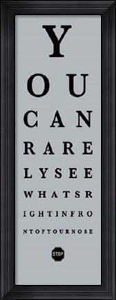 Framed Eye Chart II Print