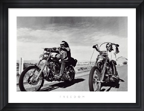 Framed Freedom Print