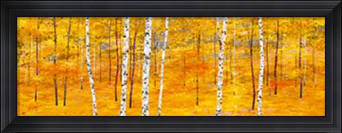 Framed Iridescent Trees II Print