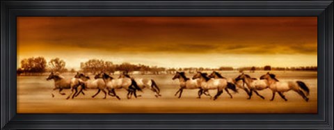 Framed Argentine Horses Print