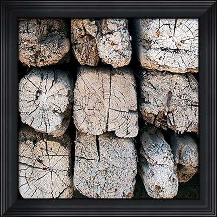 Framed Silvana XVI Print