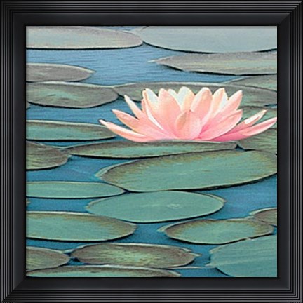 Framed Lily Pool II Print