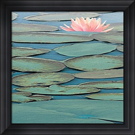 Framed Lily Pool III Print