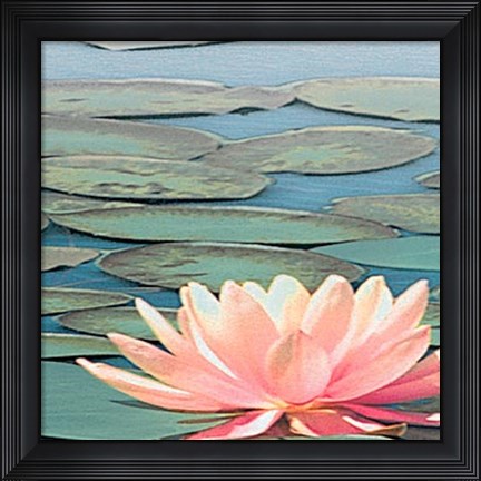 Framed Lily Pool IV Print