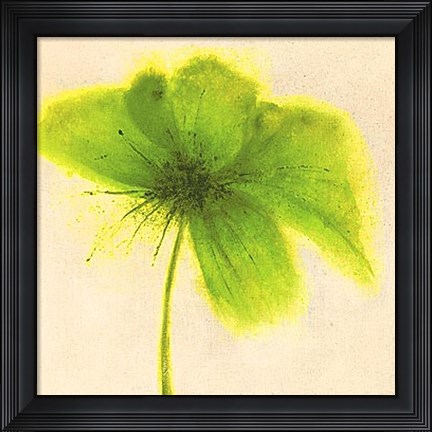 Framed Floral Burst V Print