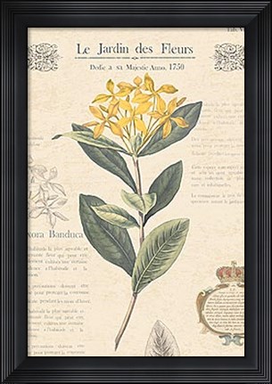 Framed Le Jardin des Fleurs I Print