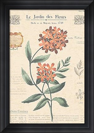 Framed Le Jardin des Fleurs II Print