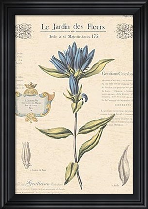 Framed Le Jardin des Fleurs III Print