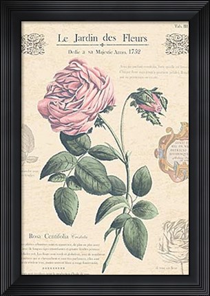 Framed Le Jardin des Fleurs IV Print