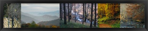 Framed In Awe of Autumn I Print