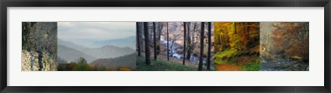 Framed In Awe of Autumn I Print