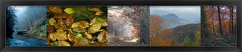 Framed In Awe of Autumn II Print