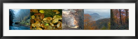 Framed In Awe of Autumn II Print