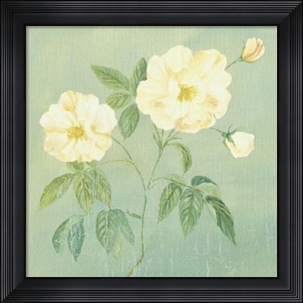 Framed Abundant Rose II Print
