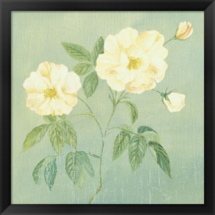 Framed Abundant Rose II Print