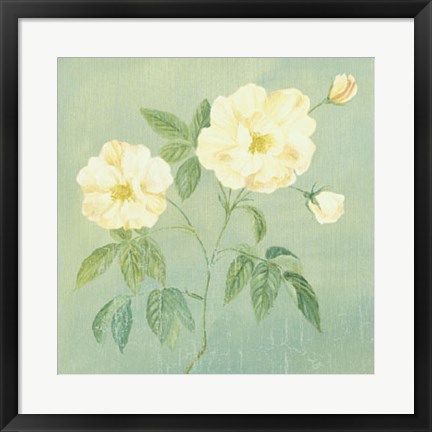 Framed Abundant Rose II Print