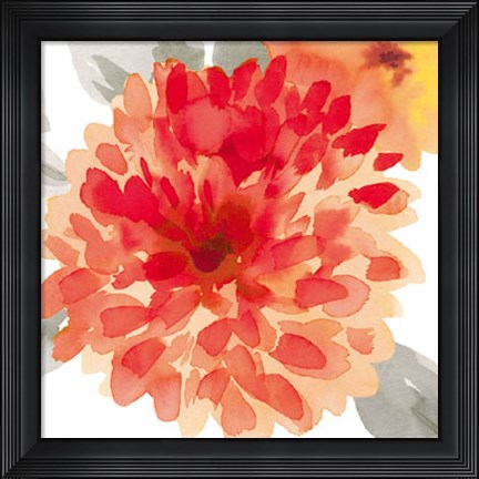 Framed Peach Flower I Print