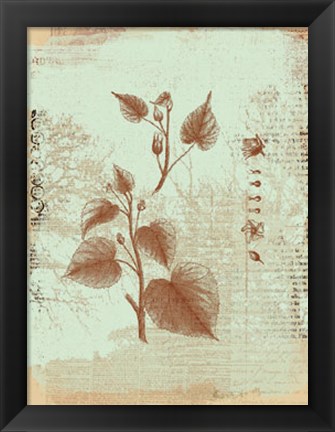 Framed Botanical I Print