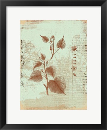 Framed Botanical I Print