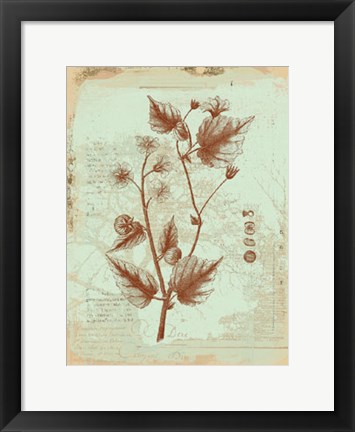 Framed Botanical II Print