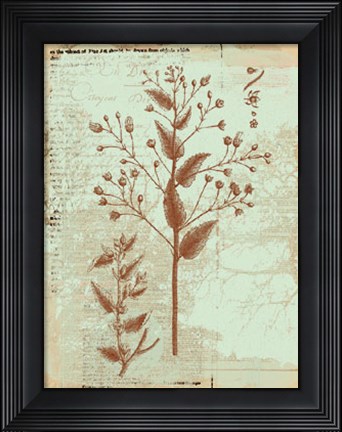 Framed Botanical IV Print