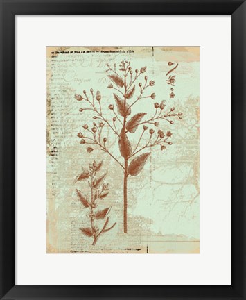 Framed Botanical IV Print