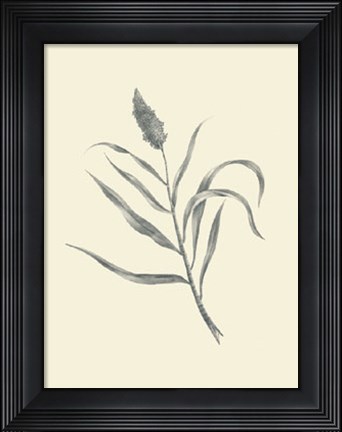Framed Guinea Corn Print