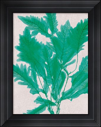 Framed Emerald Sea III Print