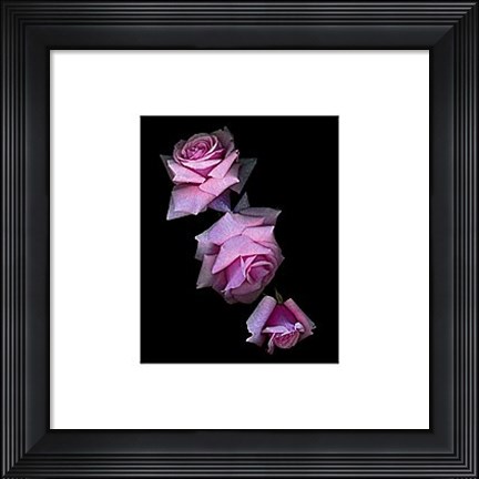 Framed Botanical Harmonies I Print