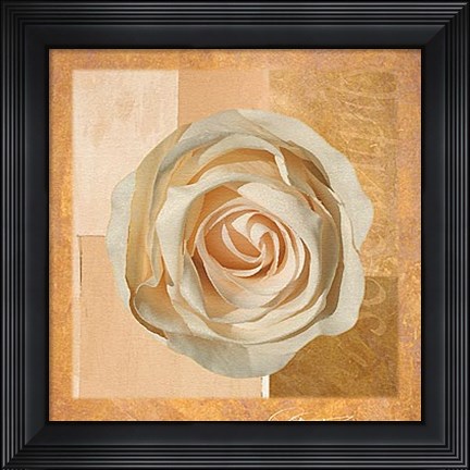 Framed Warm Rose I Print