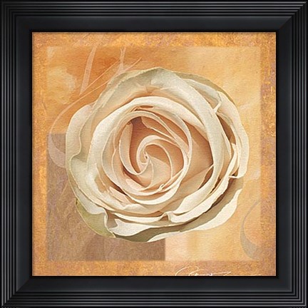 Framed Warm Rose II Print