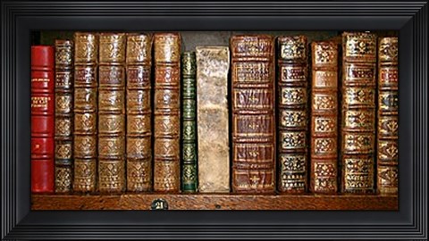 Framed Biblioteca I Print