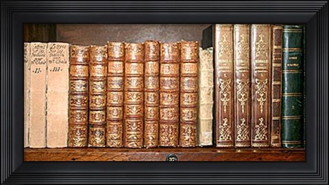Framed Biblioteca II Print