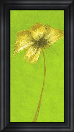 Framed Floral Burst VIII Print
